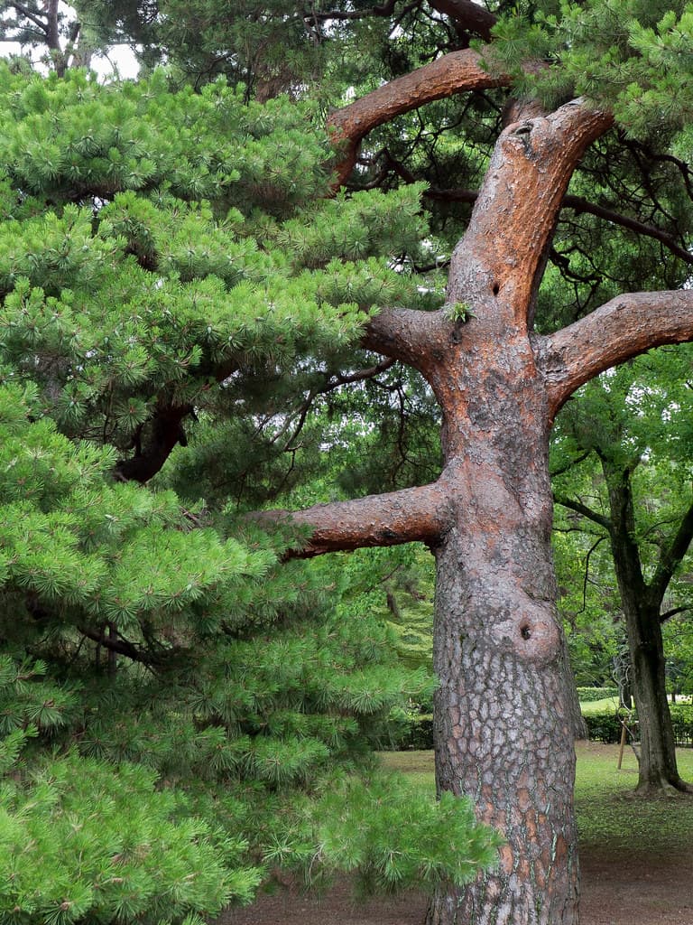 형제농원 대표 사진